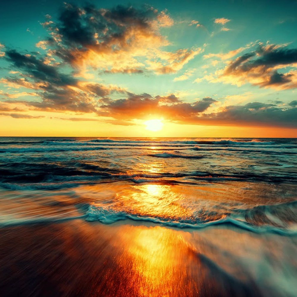 Meet your Posher, Marge